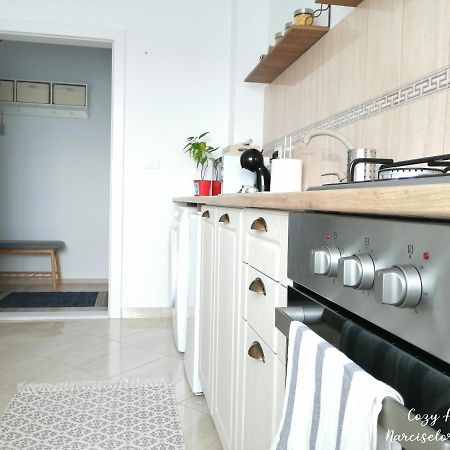 Cozy Apartment Narciselor Suceava Ipotesti  Kültér fotó