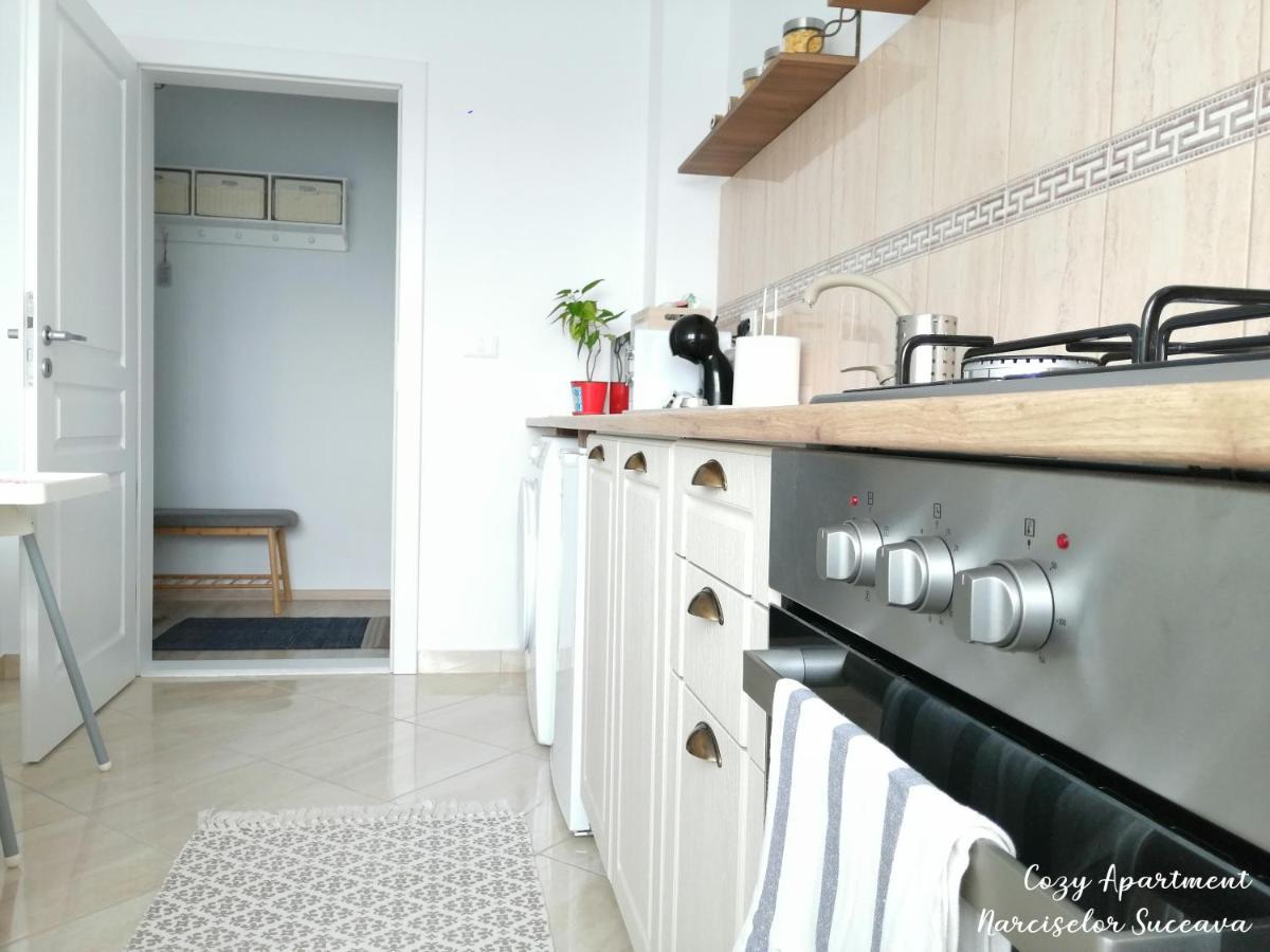 Cozy Apartment Narciselor Suceava Ipotesti  Kültér fotó
