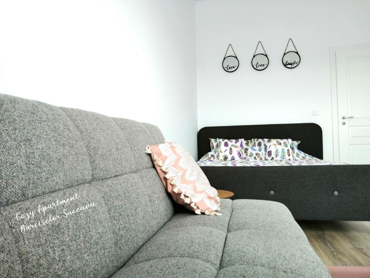 Cozy Apartment Narciselor Suceava Ipotesti  Kültér fotó