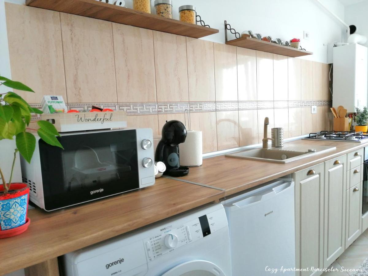 Cozy Apartment Narciselor Suceava Ipotesti  Kültér fotó