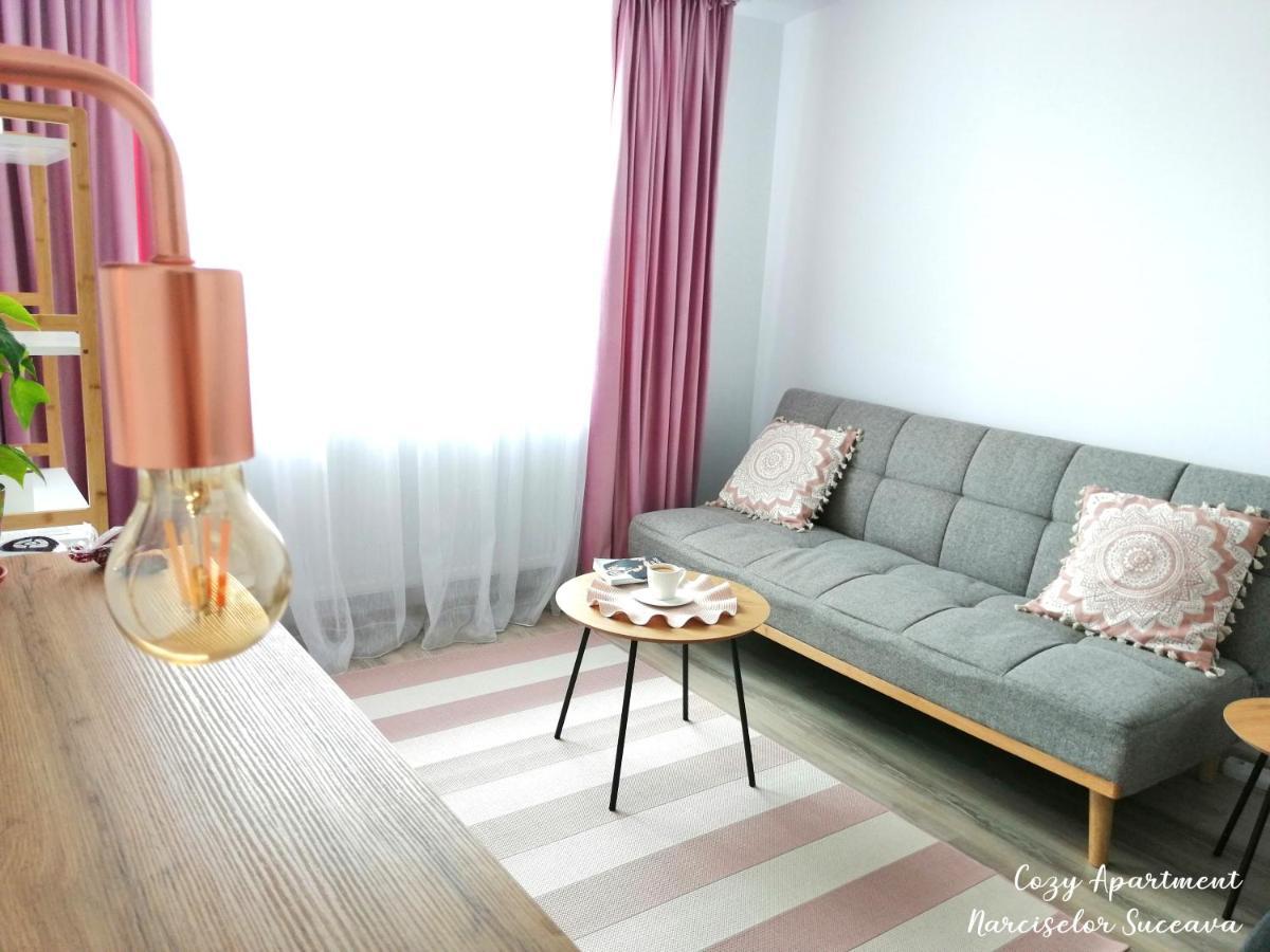 Cozy Apartment Narciselor Suceava Ipotesti  Kültér fotó