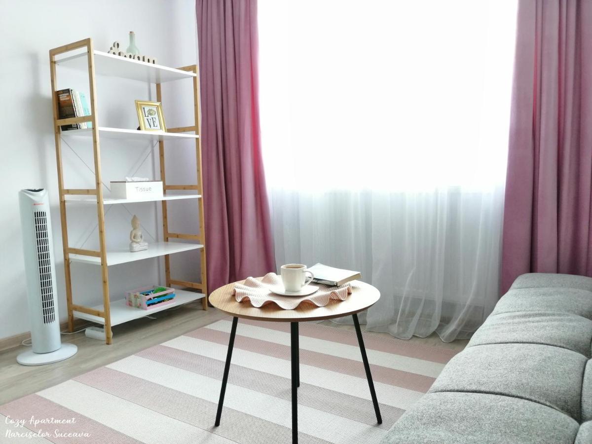 Cozy Apartment Narciselor Suceava Ipotesti  Kültér fotó