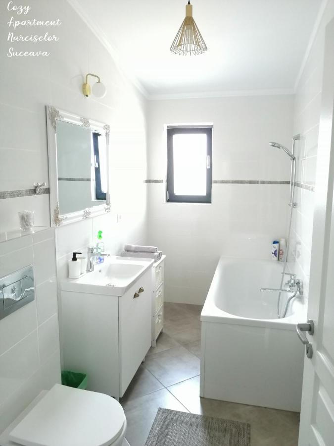 Cozy Apartment Narciselor Suceava Ipotesti  Kültér fotó