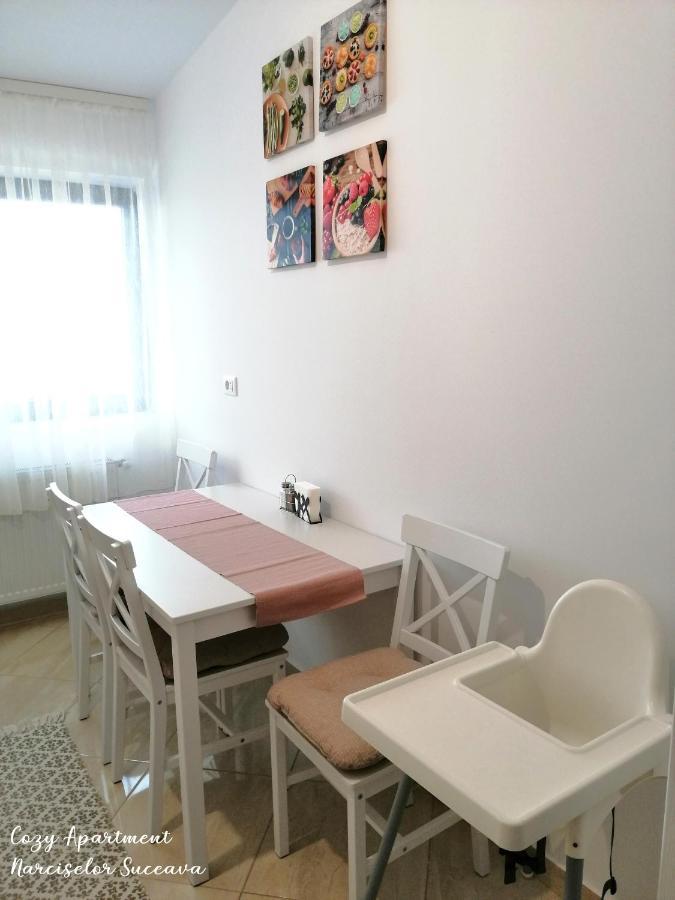 Cozy Apartment Narciselor Suceava Ipotesti  Kültér fotó
