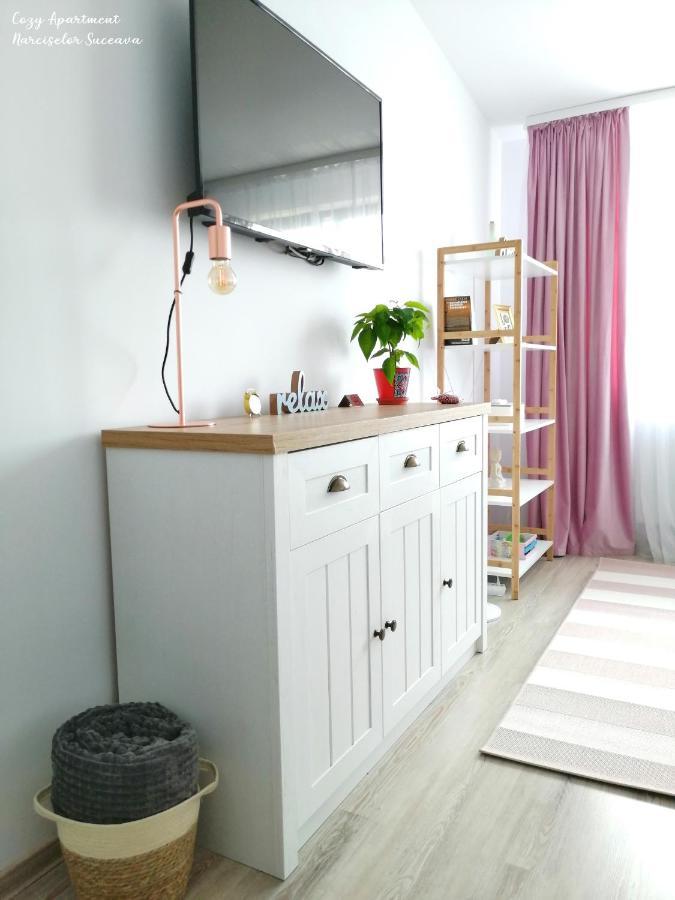 Cozy Apartment Narciselor Suceava Ipotesti  Kültér fotó