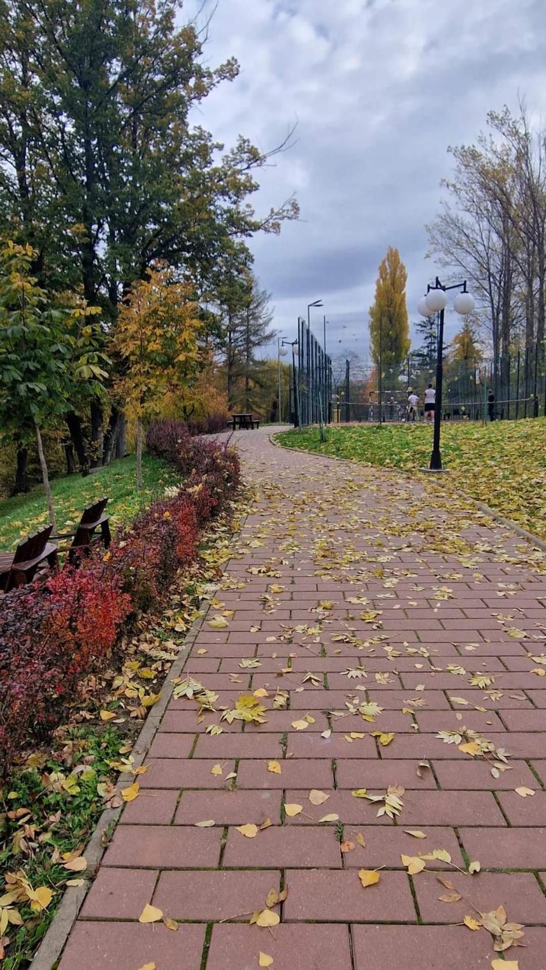 Cozy Apartment Narciselor Suceava Ipotesti  Kültér fotó