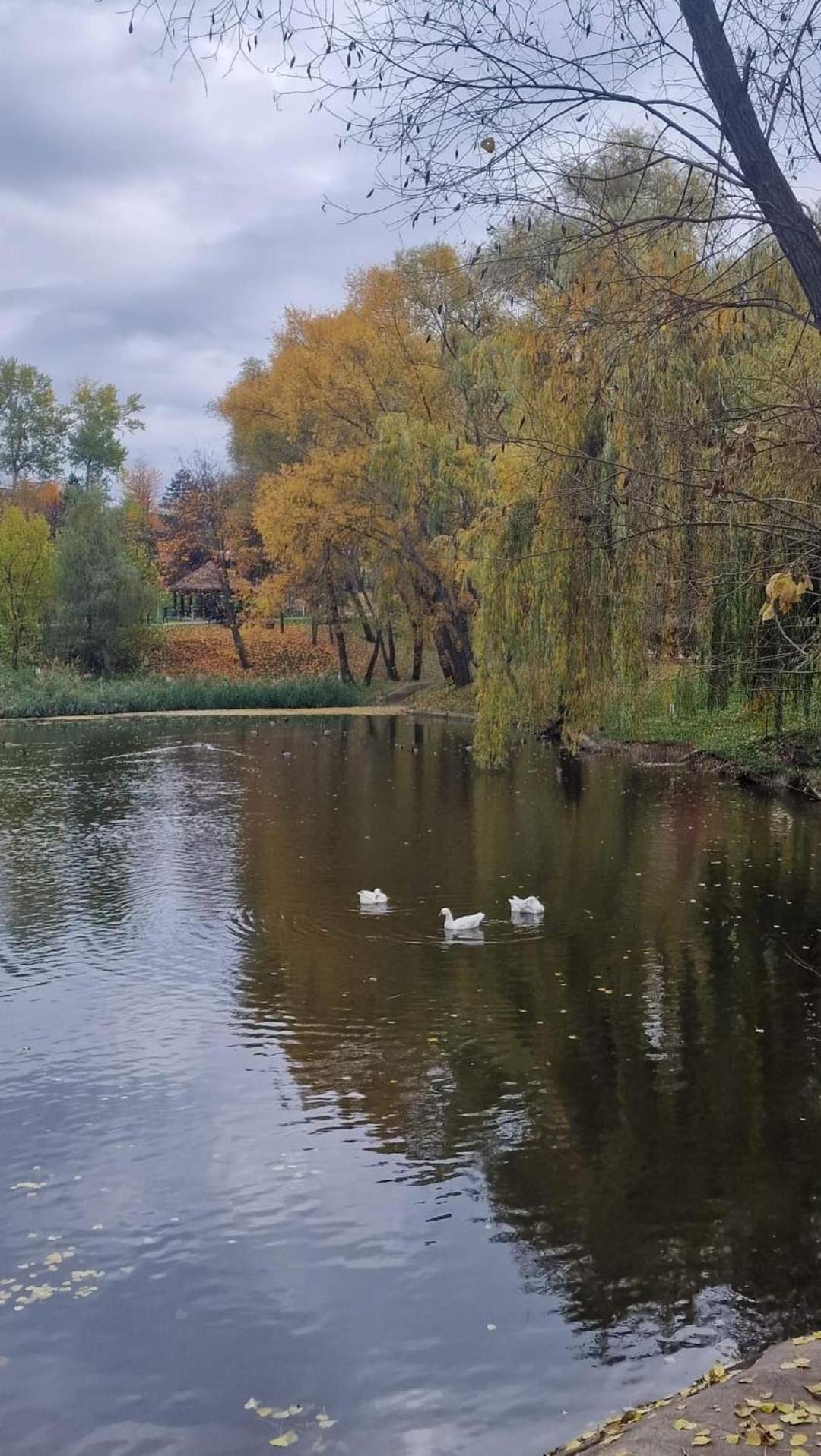 Cozy Apartment Narciselor Suceava Ipotesti  Kültér fotó