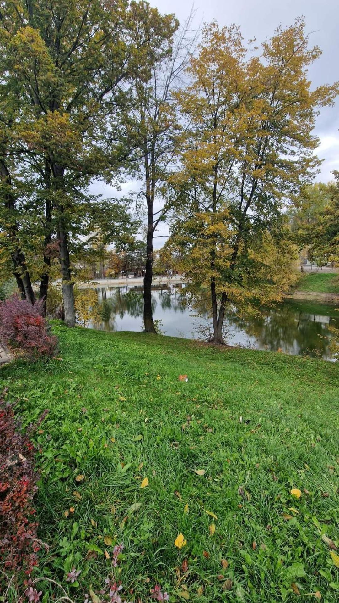 Cozy Apartment Narciselor Suceava Ipotesti  Kültér fotó